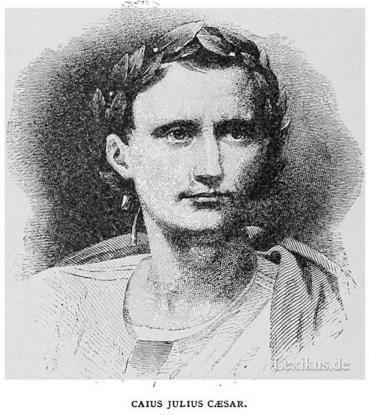 shakespeares julius caesar essay shakespeares julius caesar essay