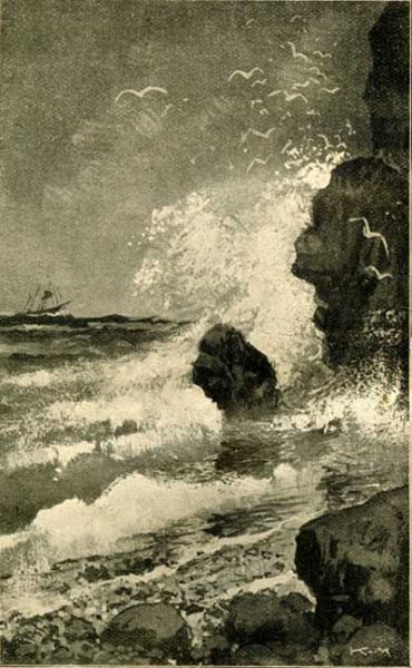 Steilküste bei Nienhagen