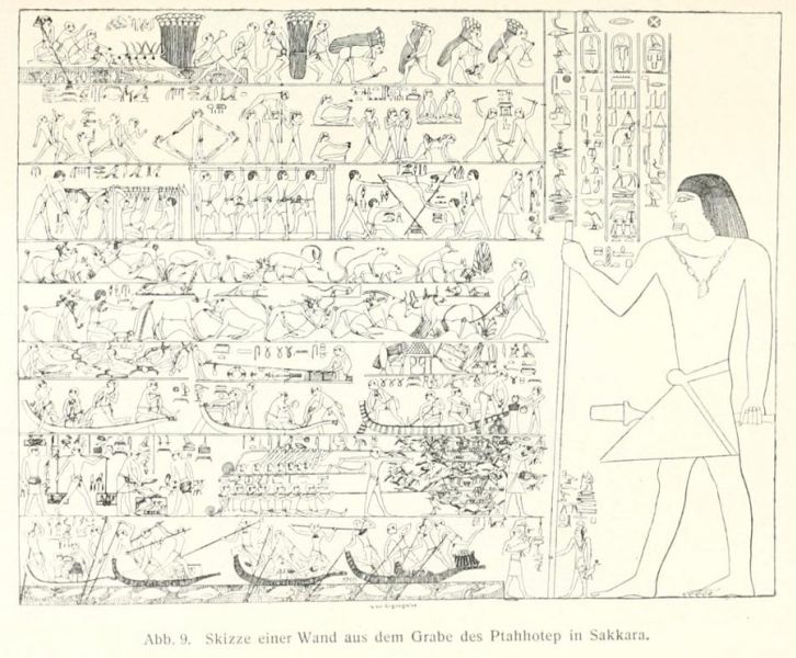 Abb. 9. Skizze einer Wand aus dem Grabe des Ptahhotep in Sakkara