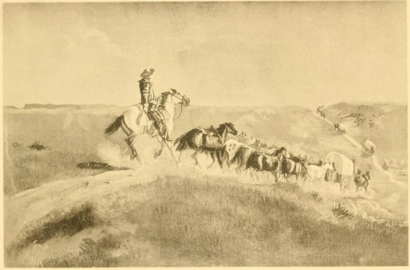 Horse Wrangler - Pferdetreiber