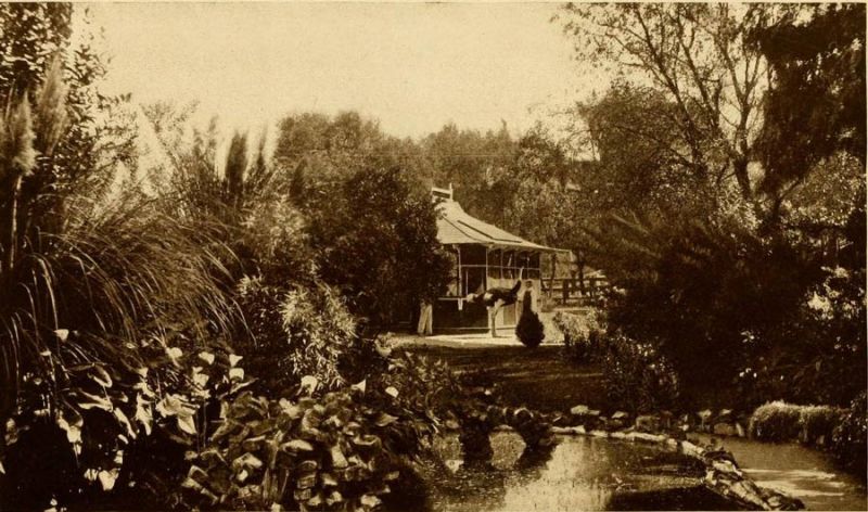 Tropical Scene in the Botanical Park of the Cawston Ostrich Farm.