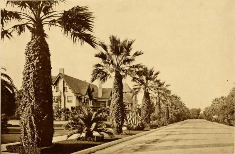 Beautiful Roadway for Automobiles Through Private Residence Section.