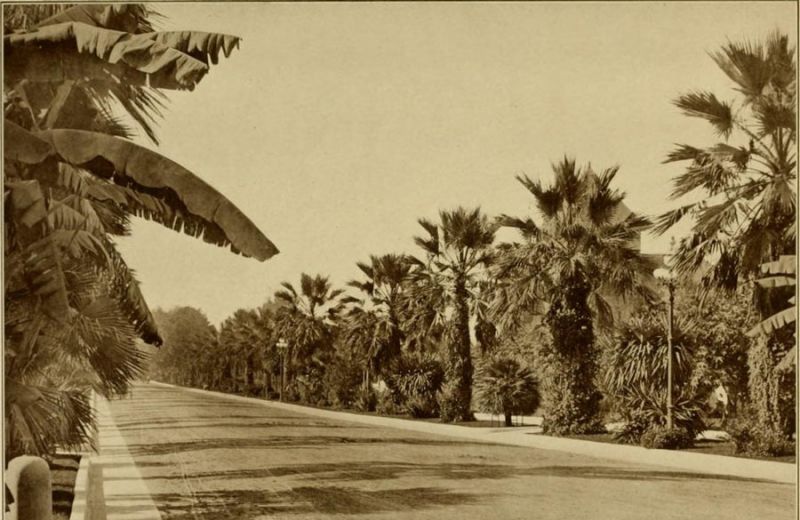 Roadway for Automobiles Through Chester Place.