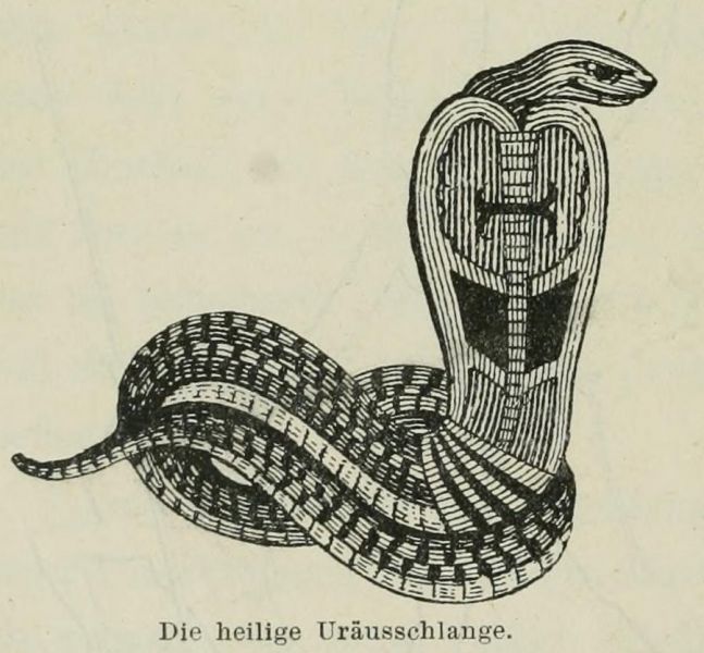 Die heilige Uräusschlange
