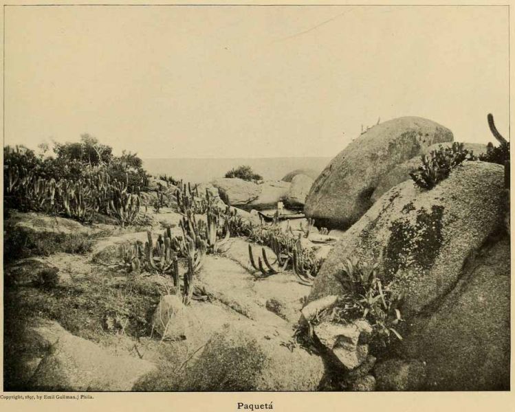 Paquetá ist ein Stadtviertel von Rio de Janeiro, das sich auf der gleichnamigen Insel in der Bucht von Guanabara befindet.