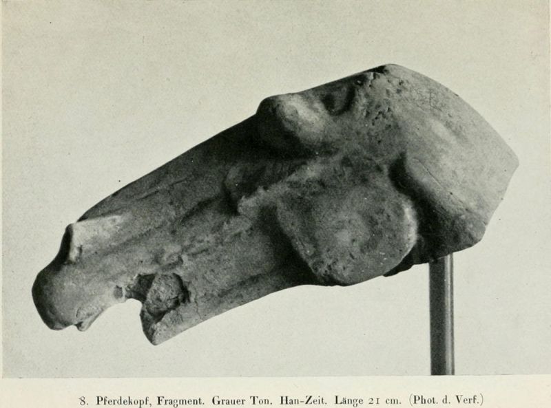 008. Pferdekopf, Fragment, grauer Ton