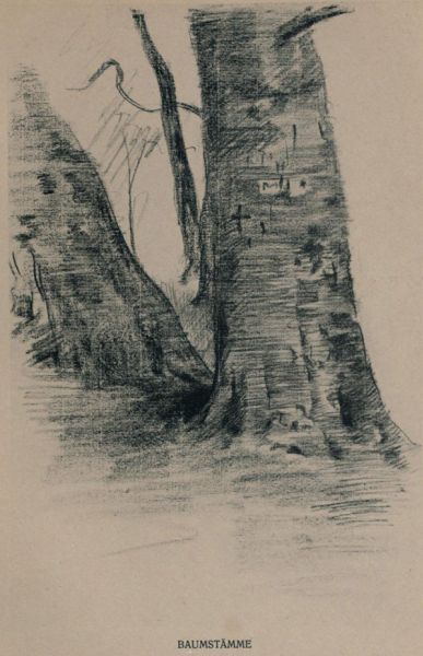 Baumstämme