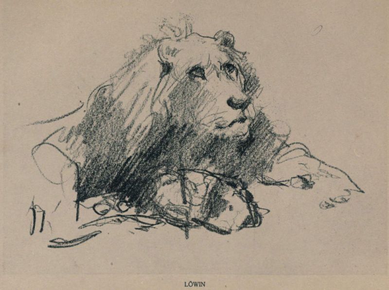 Löwin