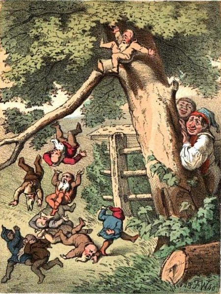 Die Zwerge auf dem Baum