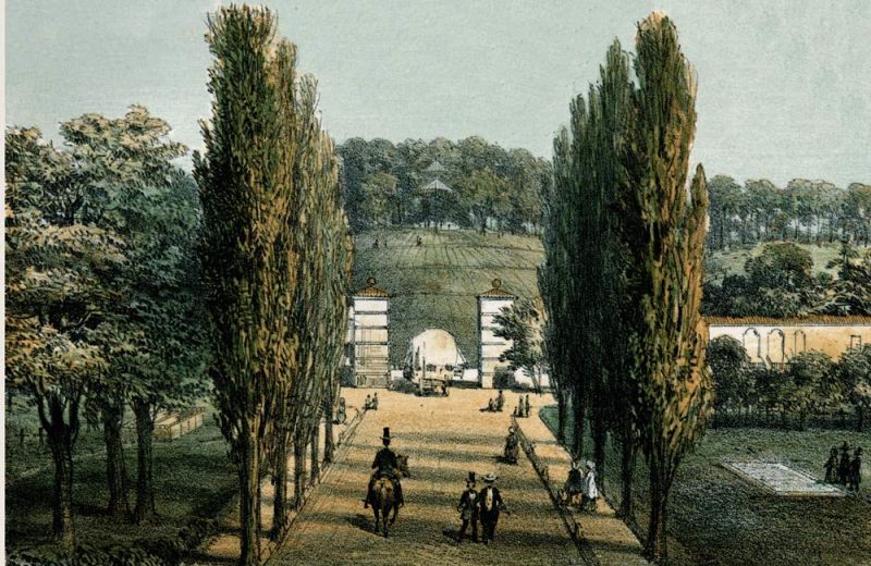 Bad Doberan - Der Buchenberg