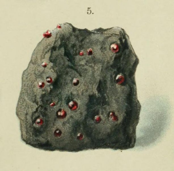 Pyrop (böhmischer Granat, im Gestein)