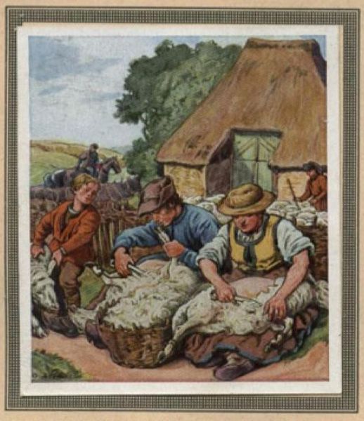 035 Hirtenleben