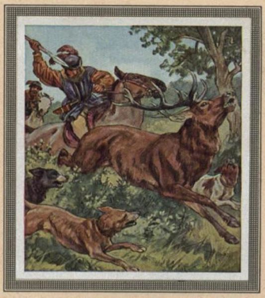046 Hirschjagd