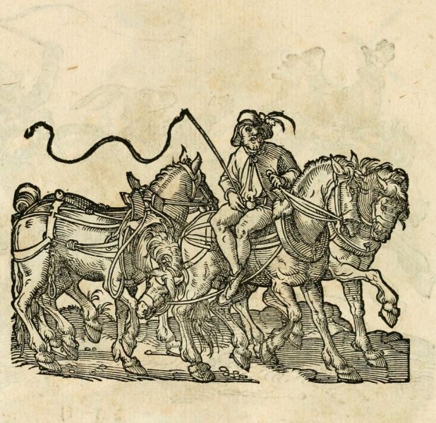 Fuhrmann in der Hansezeit