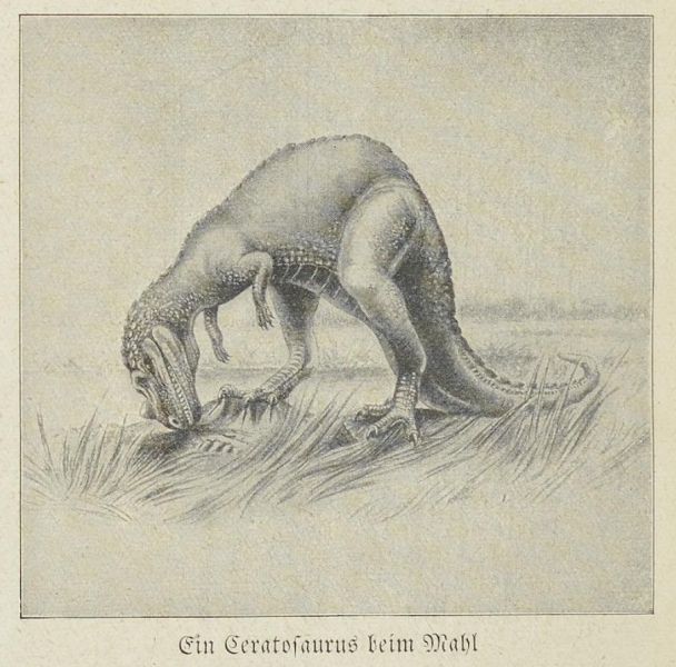 Urzeit, Ein Ceratosaurus beim Mahl