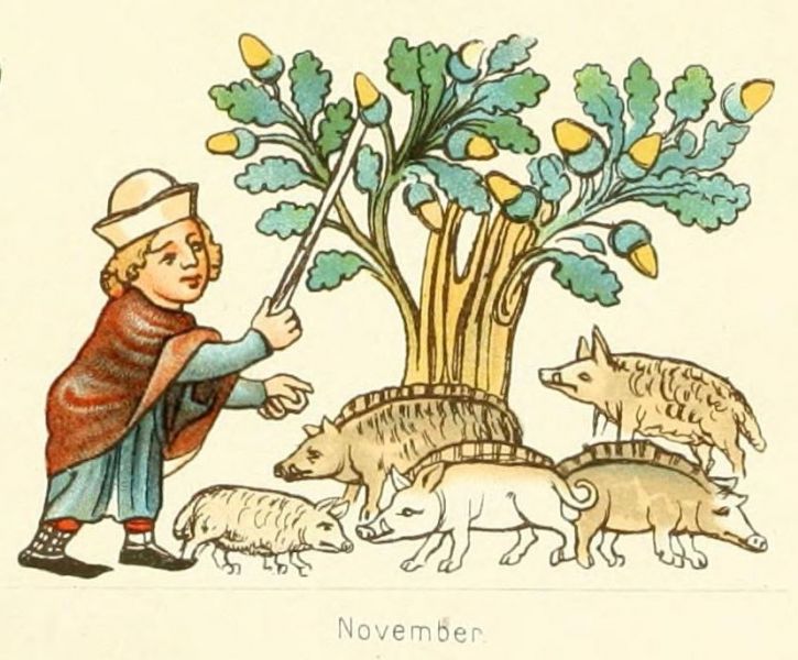 November