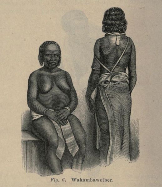 Fig. 006 Wakambaweiber