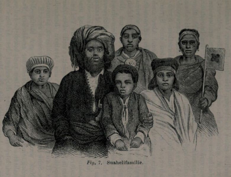 Fig. 007 Sualhelifamilie