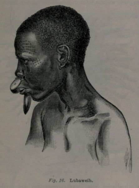 Fig. 016 Lubaweib
