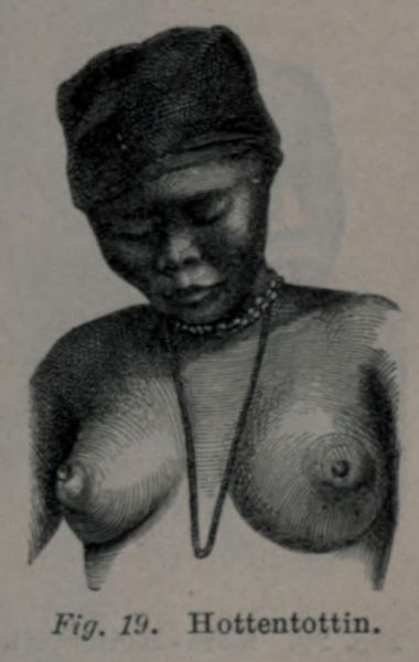 Fig. 019 Hottentottin