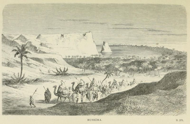 06 Buseima