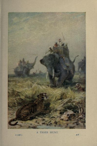 Tigerjagd
