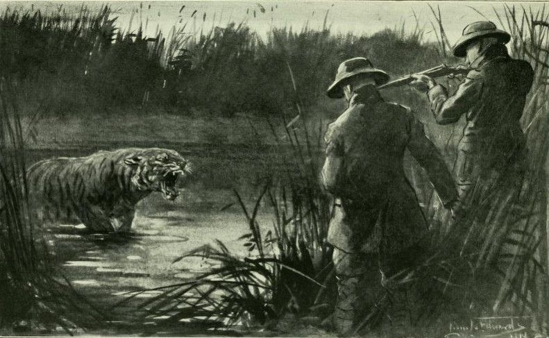 Tigerjagd (2)