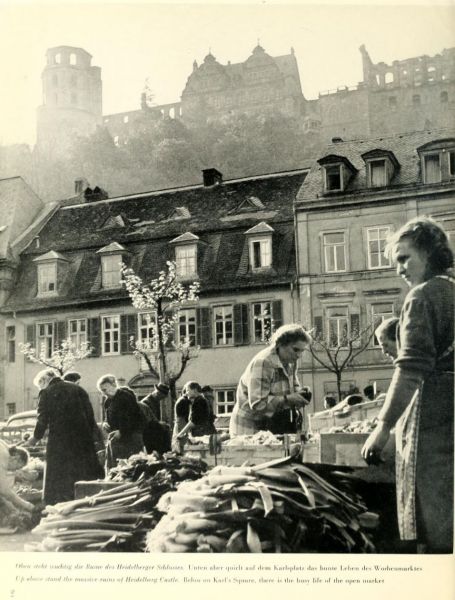 002 Oben steht wuchtig die Ruine des Heidelberger Schlosses