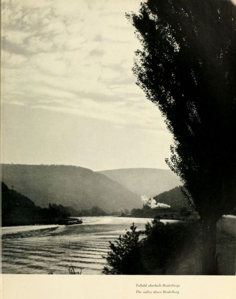 011 Talbild oberhalb Heidelbergs