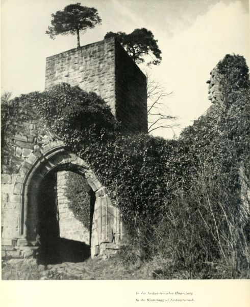 018 In der Neckarsteinacher Hinterburg