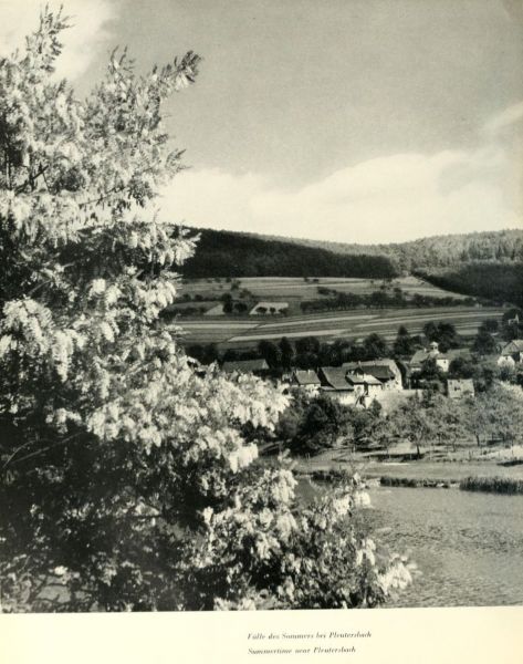 030 Fülle des Sommers bei Pleutersbach