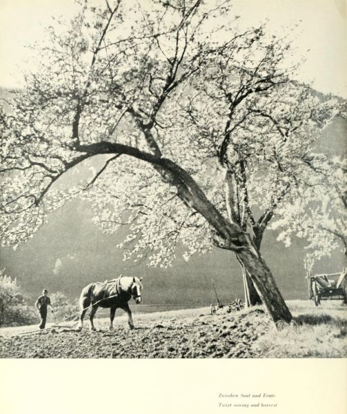 034 Zwischen Saat und Ernte