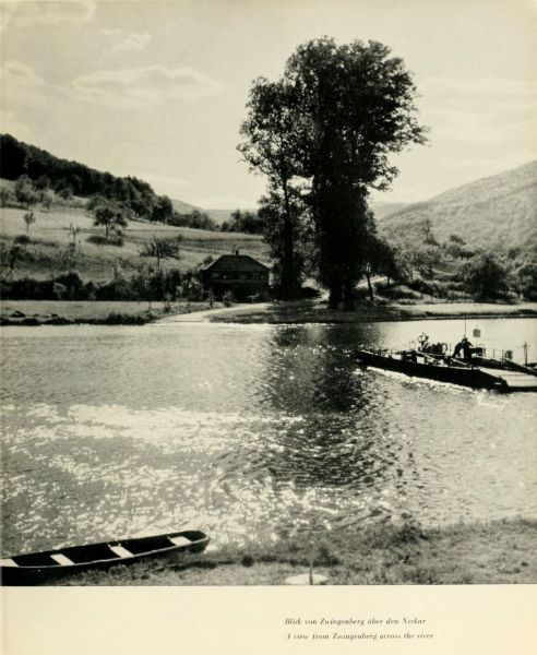 037 Blick von Zwingenberg über den Neckar