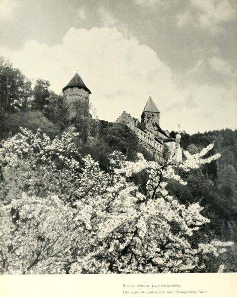 038 Wie im Märchen - Burg Zwingenberg