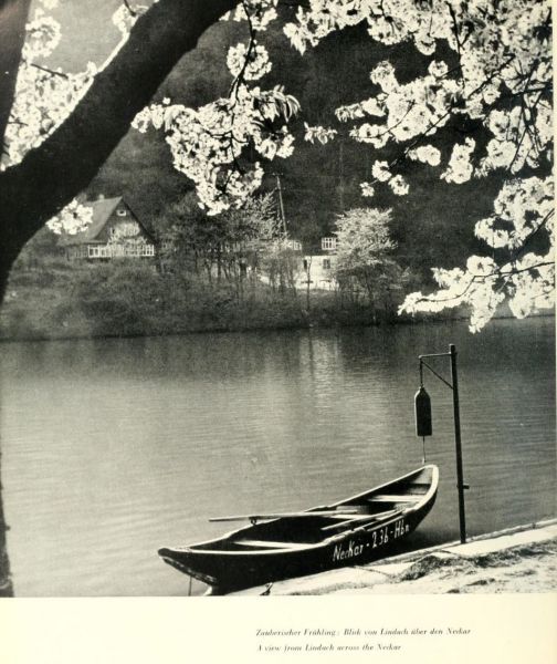 040 Zauberischer Frühling - Blick von Lindach über den Neckar