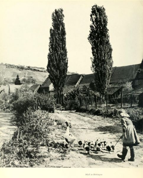 054 Idyll in Böttingen