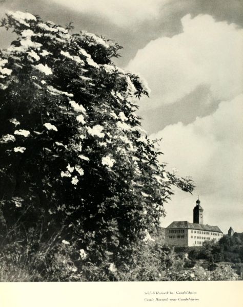 056 Schloss Horneck bei Gundelsheim