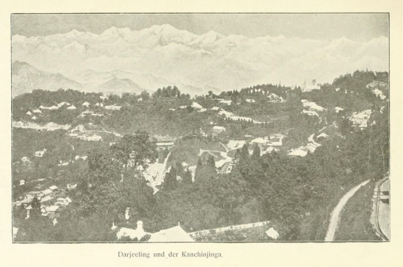 Indien 14 Darjeeling und der Kanchinjinga