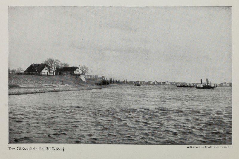 008 Der Niederrhein bei Düsseldorf