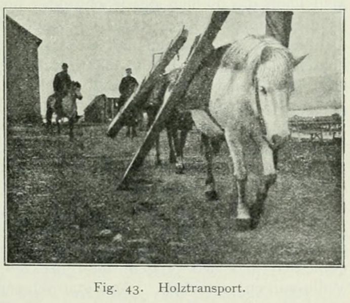 Island 043 Holztransport