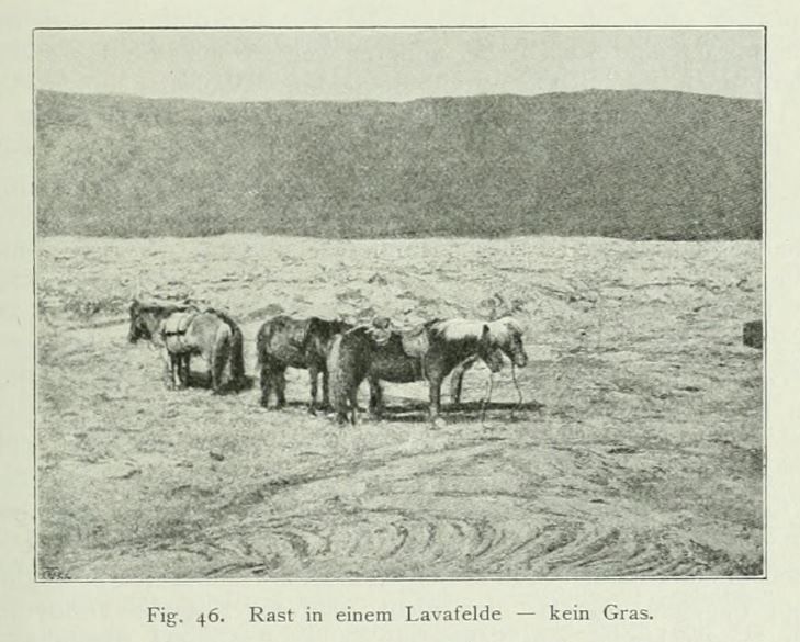 Island 046 Rast in einem Lavafelde - kein Gras