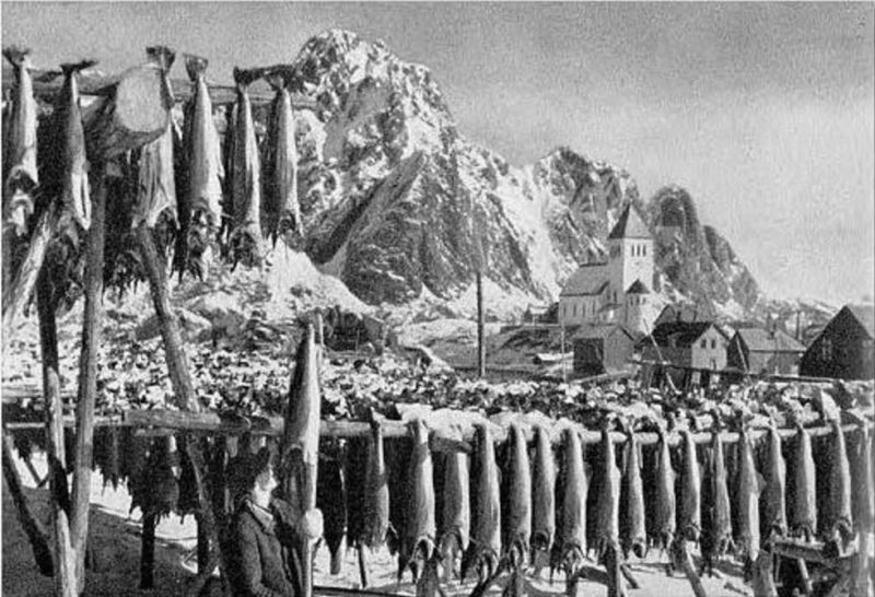 Norwegen - Lachse