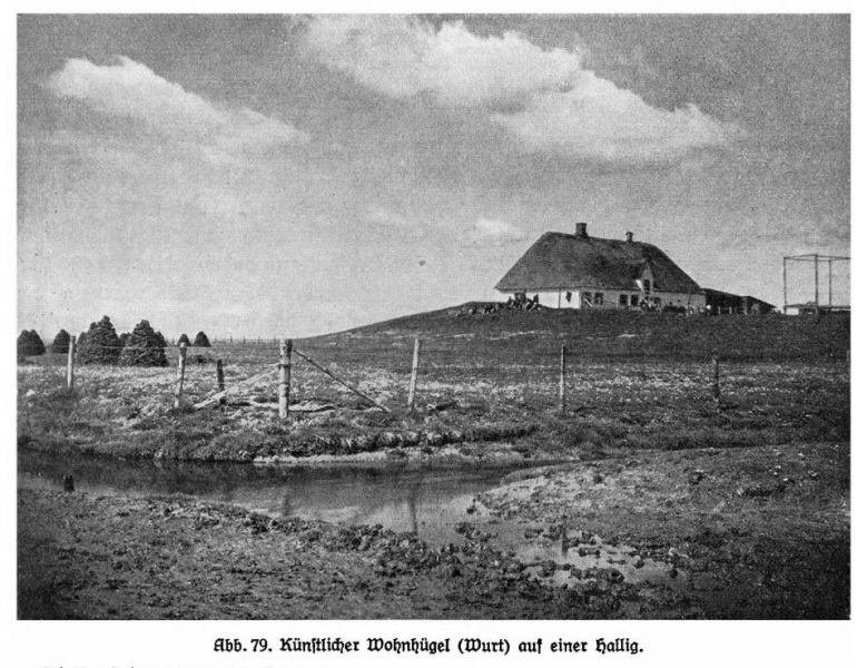 Künstlicher Wohnhügel (Wurt) auf einer Hallig