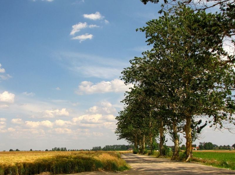 Landstraße bei Jamund