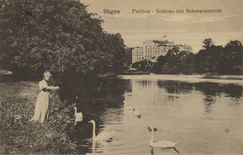 Putbus auf Rügen, Schloss mit Schwanenteich