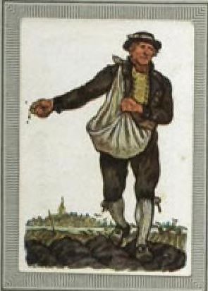 Rügen Bauer (2)