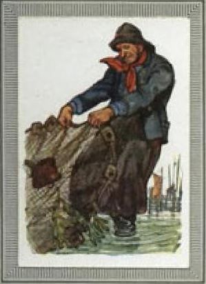 Rügen Volkstyp