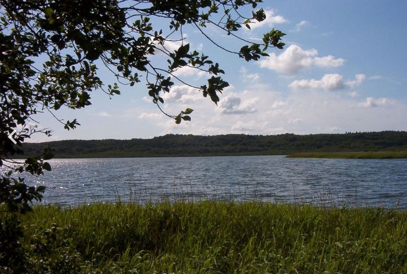 Schmachter See Südseite