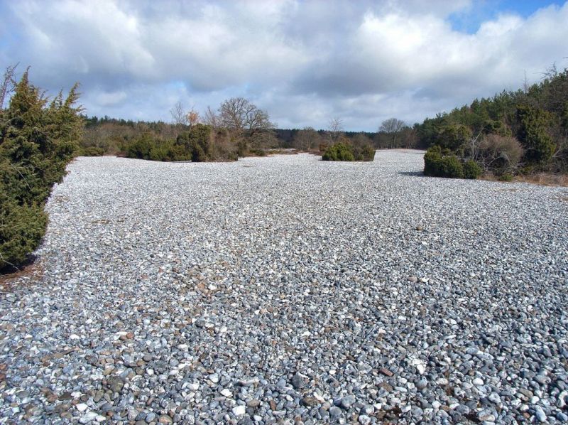 Schmale Heide, Feuersteinfelder bei Neu Mukran