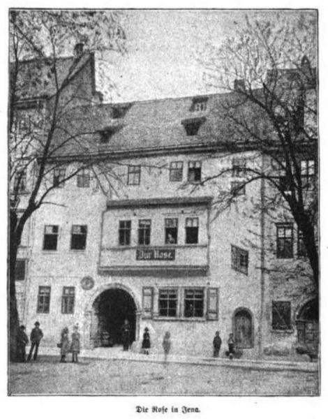 Jena, die Rose